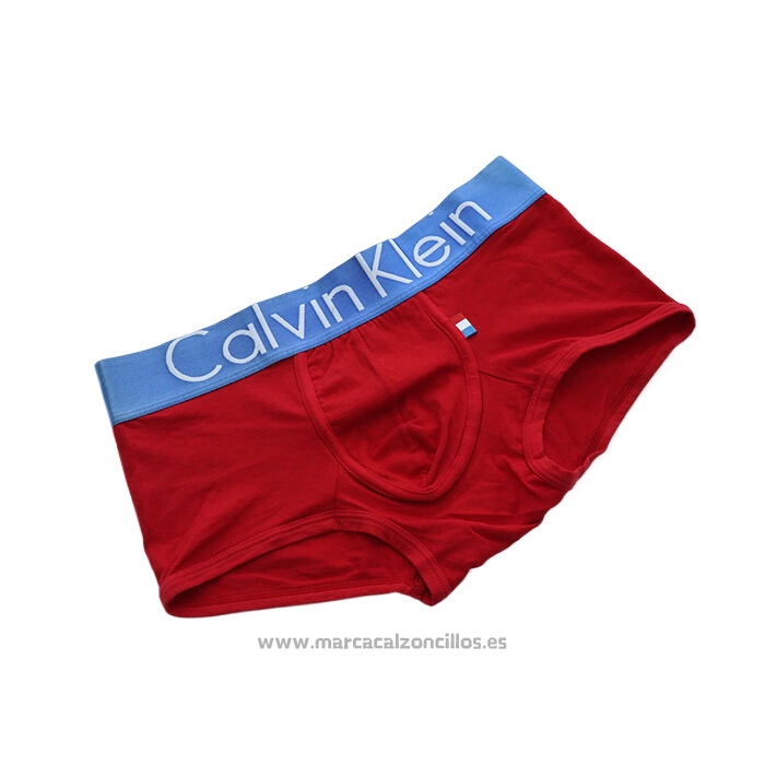 Boxer Calvin Klein Hombre Bandera Francia
